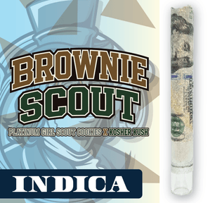 RR|Fancy Franklin|Brownie Scout