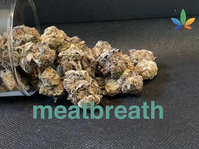 meatbreath top shelf