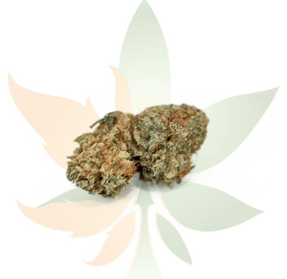 Biscotti AA-
