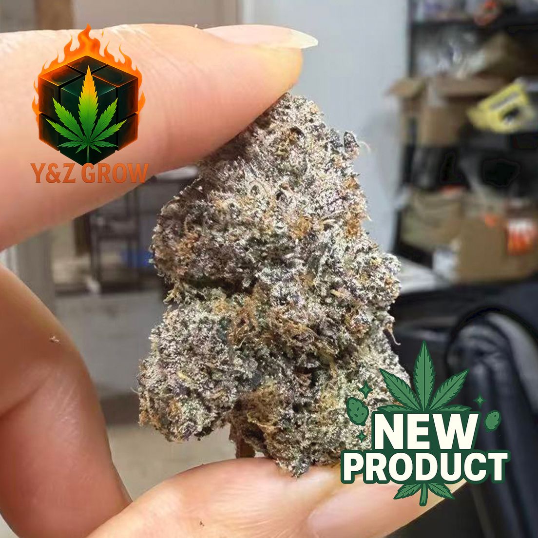 ? NEW DROP ? Pink Runtz (Hybrid) - Premium
