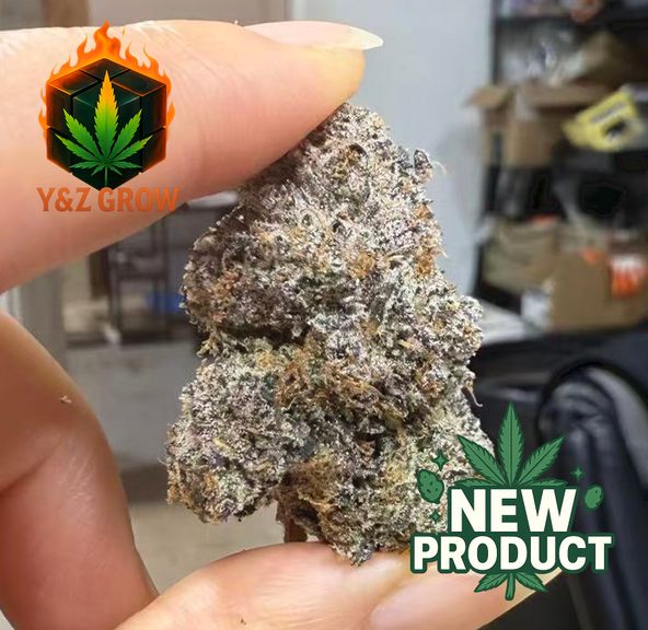 ? NEW DROP ? Pink Runtz (Hybrid) - Premium