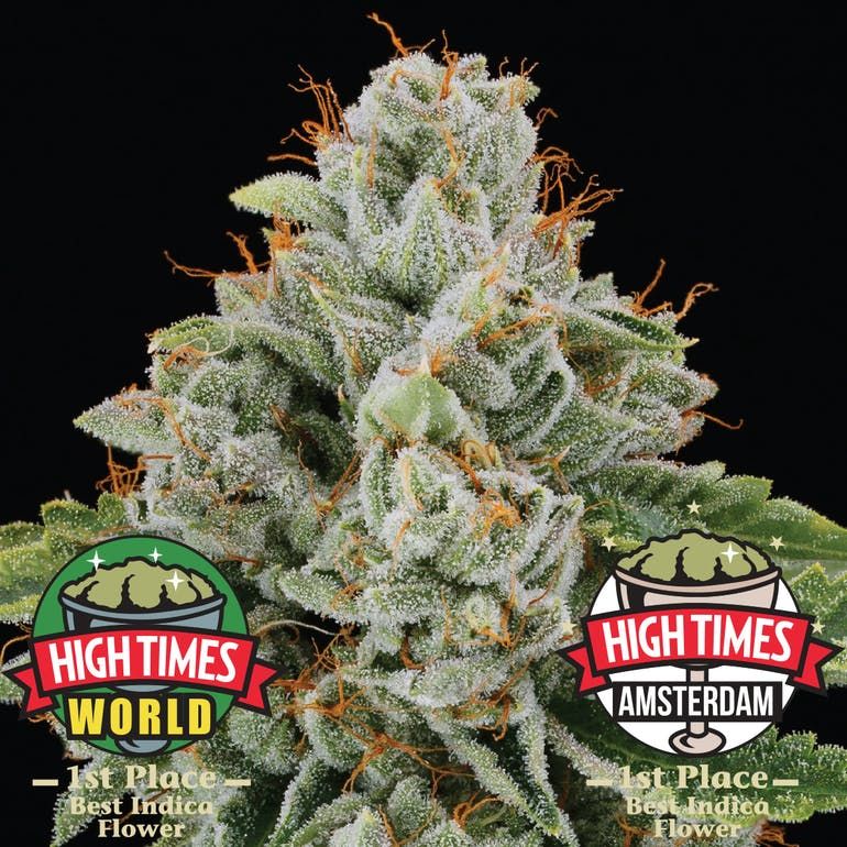 Cannabiotix | White Walker 28.59% THC 3.5g