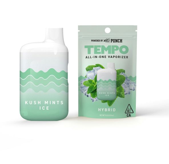 Tempo - (AIO) 1g - Kush Mints Ice