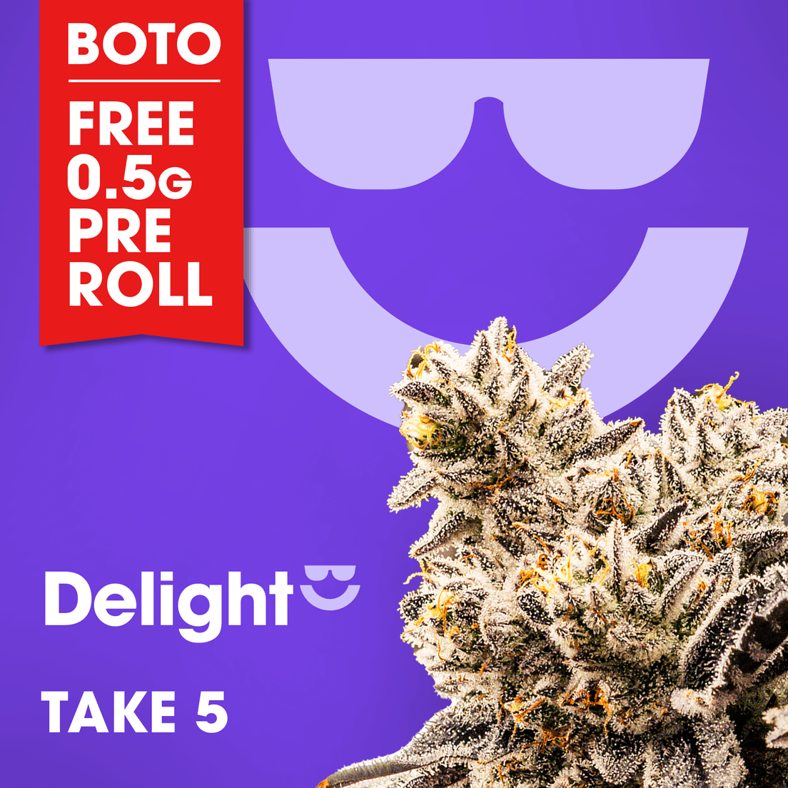 Delight | Take 5 | 3.5g Flower