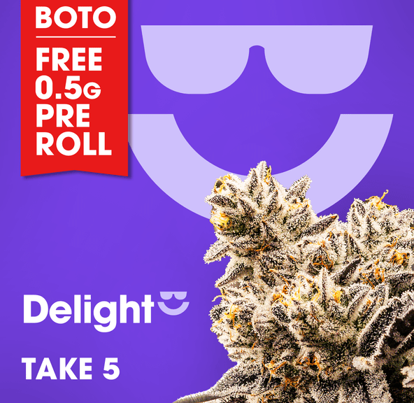 Delight | Take 5 | 3.5g Flower