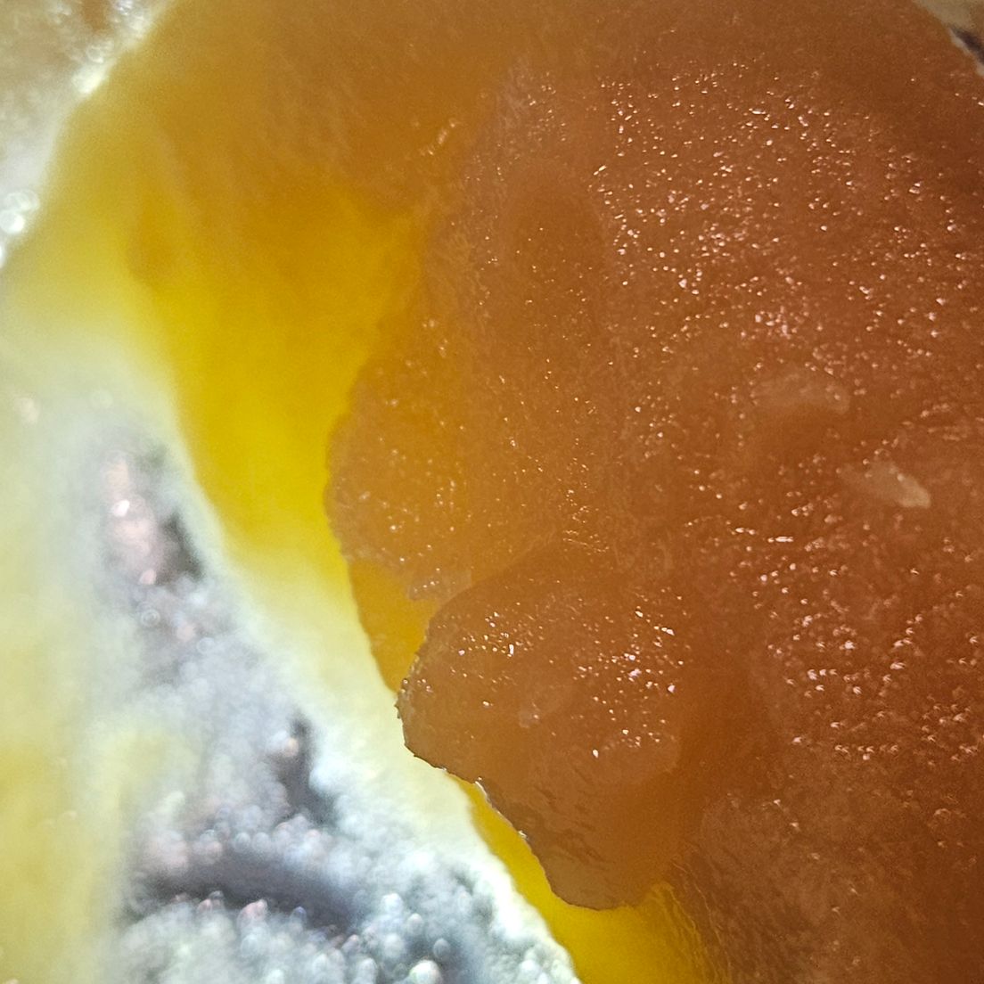 Ace Ultra - Dab - Citrus Sunset - 1G