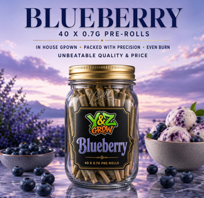 0.7g Pre-Roll: Blueberry (I) 40 Pack JAR