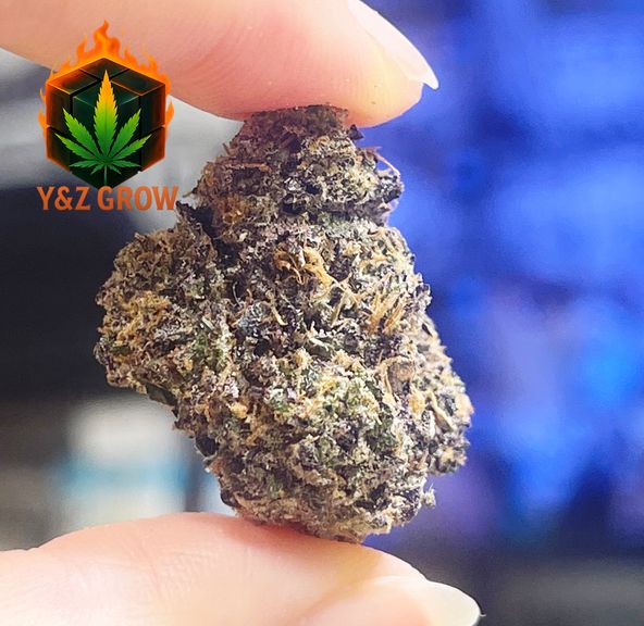 *NEW DROP* Granddaddy Purple (Indica 70%) Premium