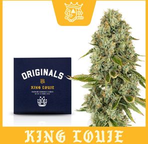 King Louie Indoor 3.5g 3.50 g