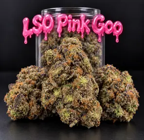 14G - LSO PINK GOO ⭐️Staff Choice⭐️(AAAA+)