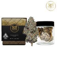 Maven Genetics - Sour Sangria - 3.5g - Sativa