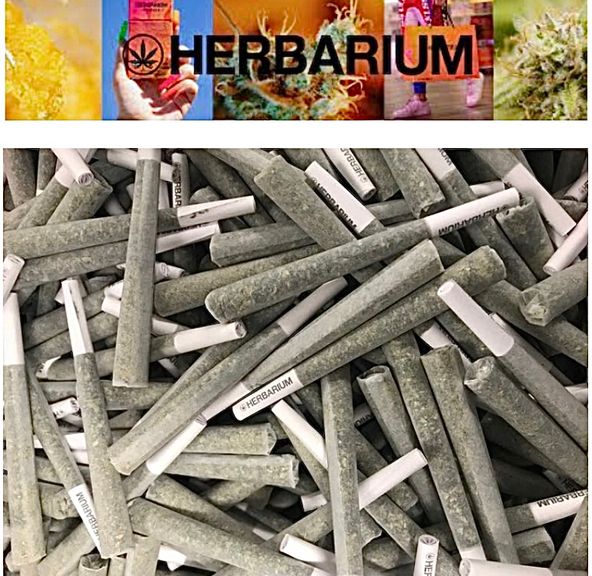 Herbarium - Cherry Pie 1g Pre Rolls (taxes included)