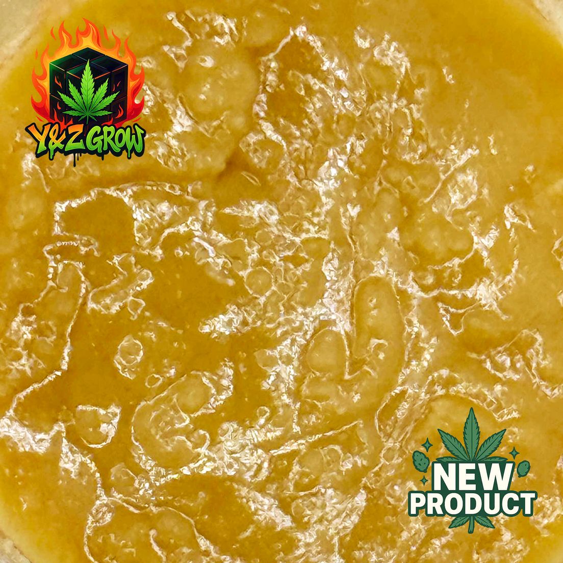 ?NEW?Extracts #24 - Apple Fritter Badder (Hybrid)