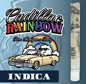 RR|Fancy Franklin|Cadillac Rainbow