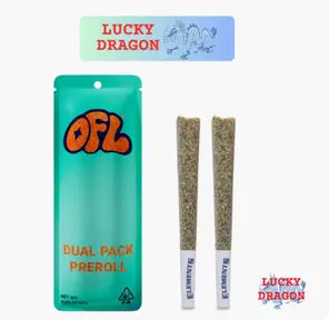 Lucky Dragon Dual