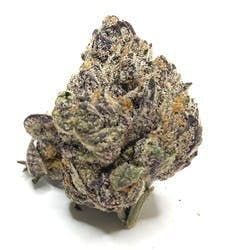"Hot Deal" Scoopz: Black Truffle (taxes included)