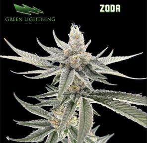 Green Lightning | Zoda | Smalls (3.5g)