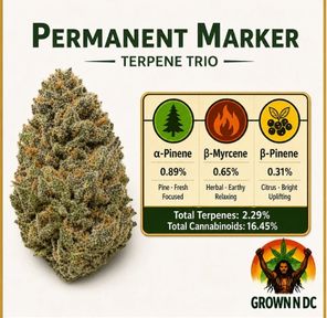 Permanent Marker pre-roll