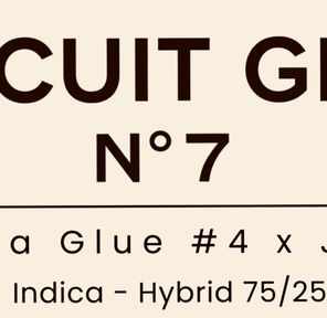 Biscuit Glue No.7 Flower - 3.5g