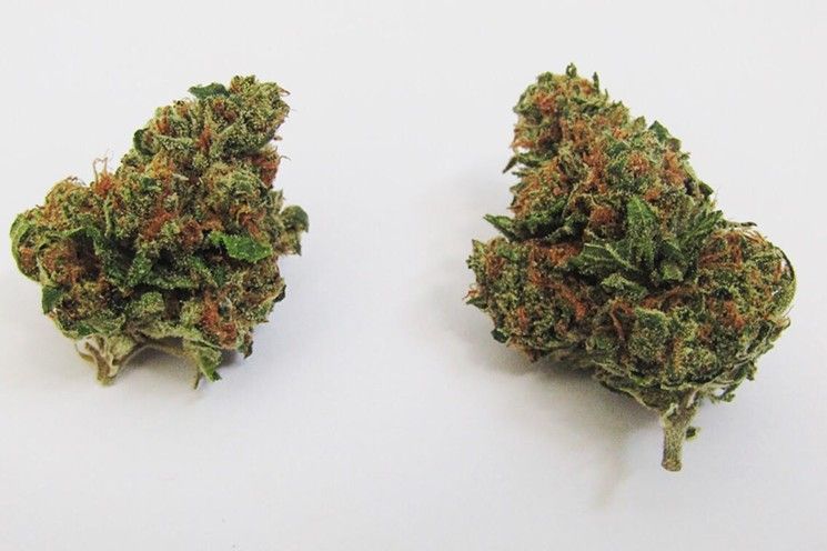 Kings Garden - Ghost Og 3.5g