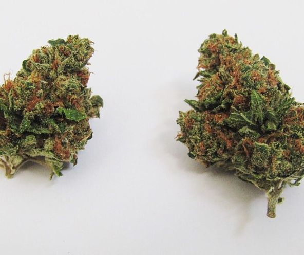 Kings Garden - Ghost Og 3.5g