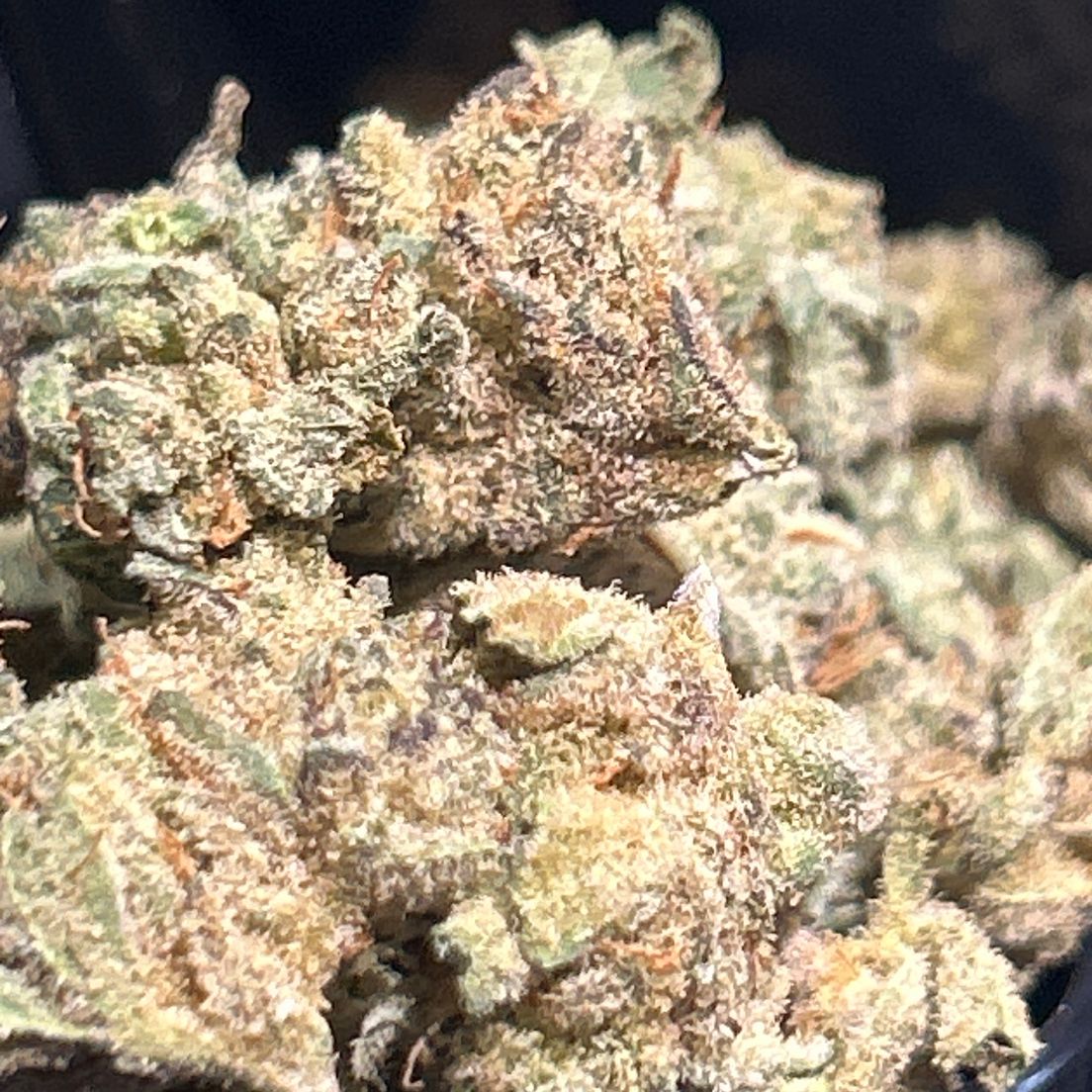 Ice Kandy Runtz Flower