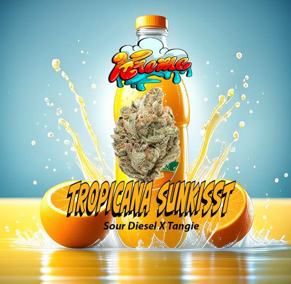Kreme -Tropical Sunkist - 4g-hybrid