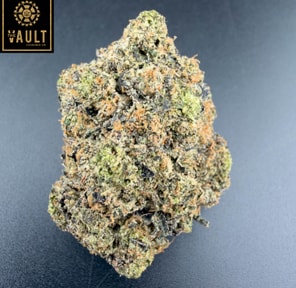 7g - MAJESTIC PINK (5 STAR)
