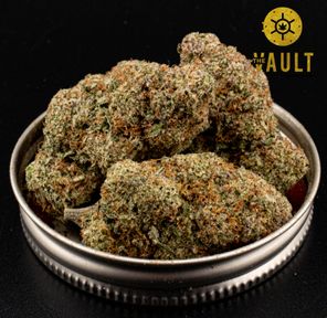 AAAA | BLUEBERRY GOO ⭐️NEW ARRIVAL⭐️