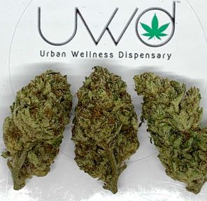 Chem D.O.G.