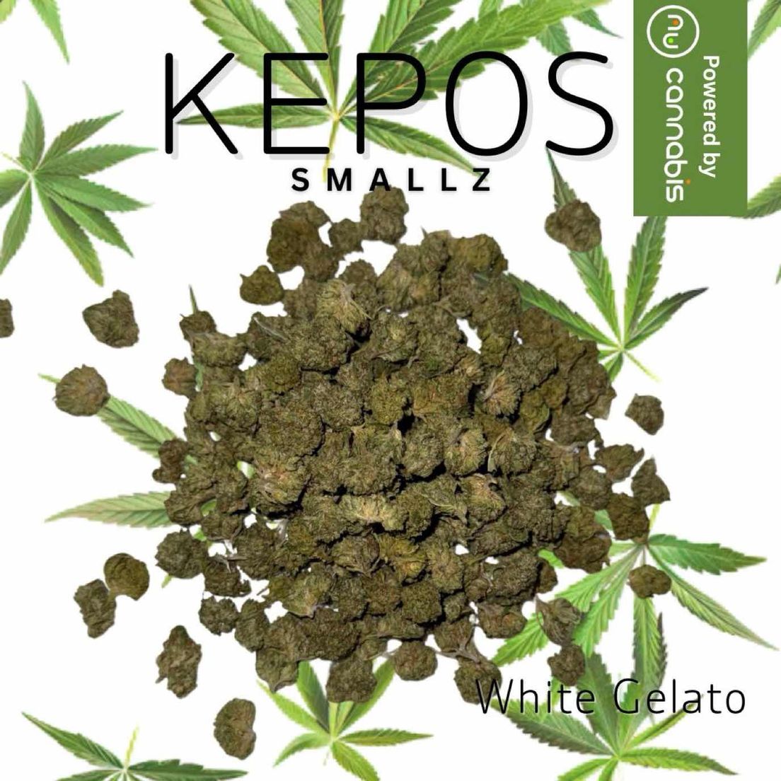 Kepos - White Gelato SMALLS 28g - SMALLS