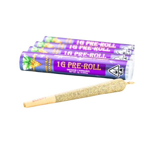 Prime Exotics | Preroll | 1g | Black Amber