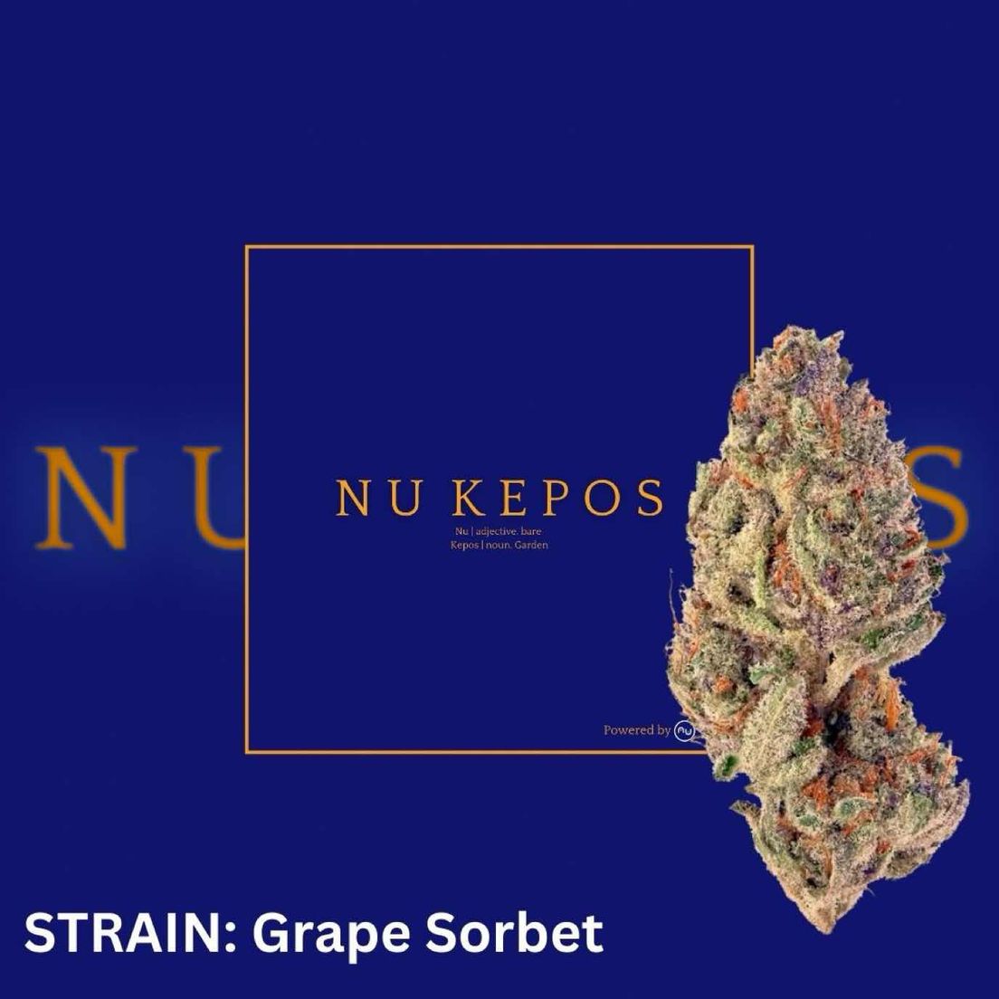 Kepos - Grape Sorbet 28G - PREMIUM FLOWERS