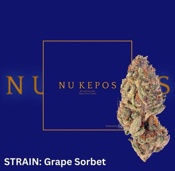 Kepos - Grape Sorbet 28G - PREMIUM FLOWERS
