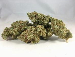 (PRE-ORDER ONLY) Black Jack (30.38% THC) Mad Cow Genetics