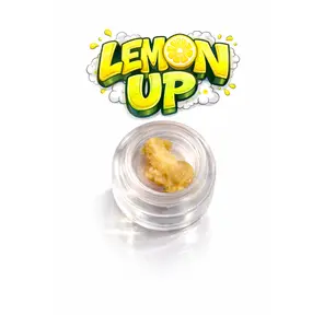 LEMON UP - LIVE ROSIN - 1G