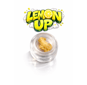 LEMON UP - LIVE ROSIN - 1G