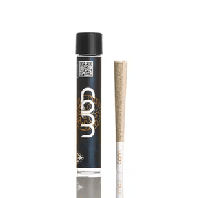 CAM — Kush Mints Preroll 1.00 g
