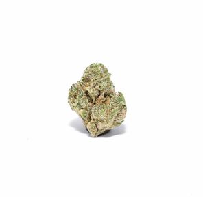 PR. 805 Glue (7g) - PACIFIC STONE