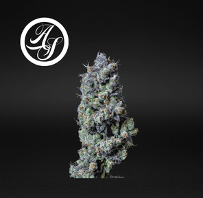 Alt Sol | Hash Burger - Flower | 3.5g | Indica-Hybrid