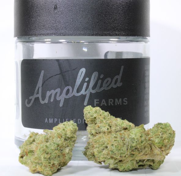 Once Is Enough 3.5g (33% THC) Amplified Farms