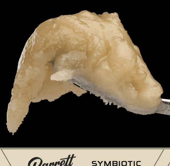 BARRETT FARMS ROSIN- 1G MOLOTOV COCKTAIL