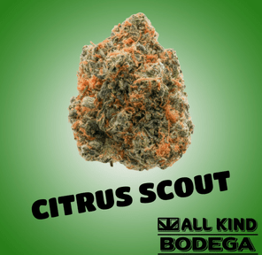 Citrus Scout 3.5g Flower (@jarcannabis2.0)