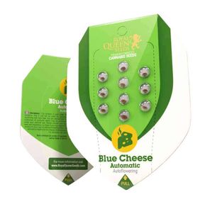 Blue Cheese Cannabis Seeds I Royal Queen Seeds I Autoflowering 1 ct