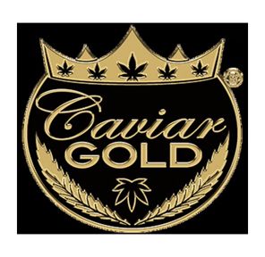 Cavi Cone - 1.3g Infused Glass Tip Joint - Cavi Land