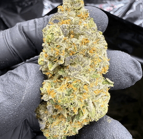 Hoka Haze (RCWM) - Jelly Breath, 3.5 grams