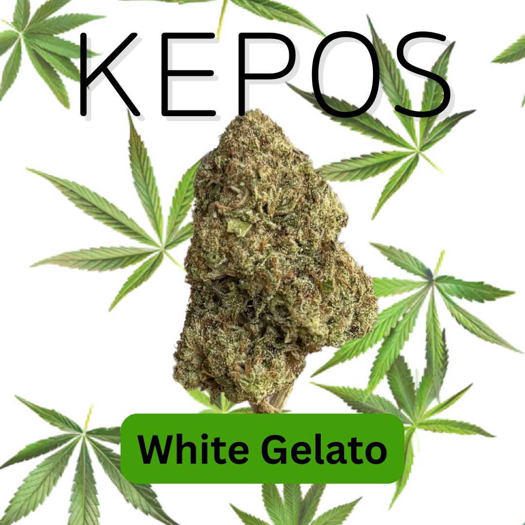 Kepos - White Gelato 3.5g