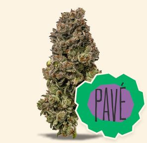 Flower-Pave 3.5g