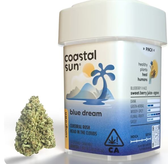 Coastal Sun - Blue Dream 7g