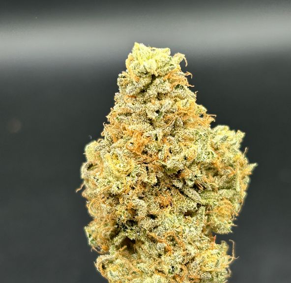 Bananaz - Blackwood Cultivation - Tier 1